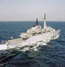 Marine